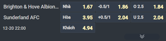 Nhận định, Soi tỷ lệ k&egrave;o Brighton vs Sunderland 22h00 ng&agrave;y 20/12: M&egrave;o đen gặp đen - Ảnh 5